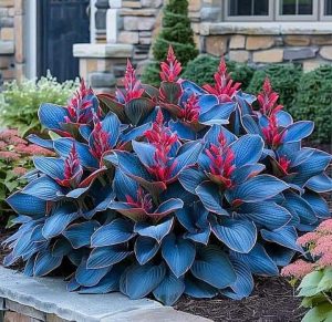 Хоста Грин Фог купить по цене от 669р. в интернет-магазине «Посадика» с доставкой почтой в в Спасск-Дальнийе и по всей России – [изображение №1].