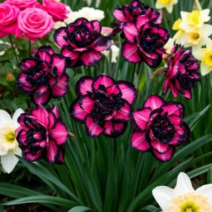 Нарцисс Золотая Корона купить по цене от 2000р. в интернет-магазине «Посадика» с доставкой почтой в в Спасск-Дальнийе и по всей России – [изображение №1].