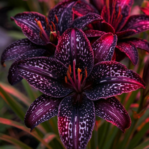 Лилейник Вояж купить по цене от 699р. в интернет-магазине «Посадика» с доставкой почтой в в Спасск-Дальнийе и по всей России – [изображение №1].